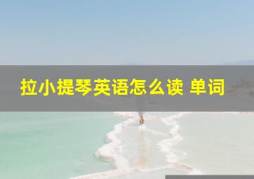 拉小提琴英语怎么读 单词